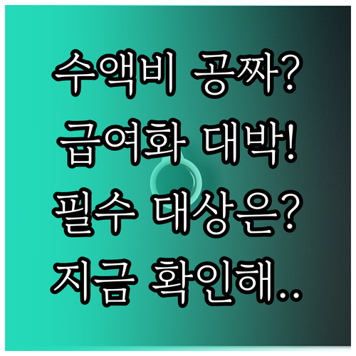 비급여 수액 관리급여 편입 배경 및 ..