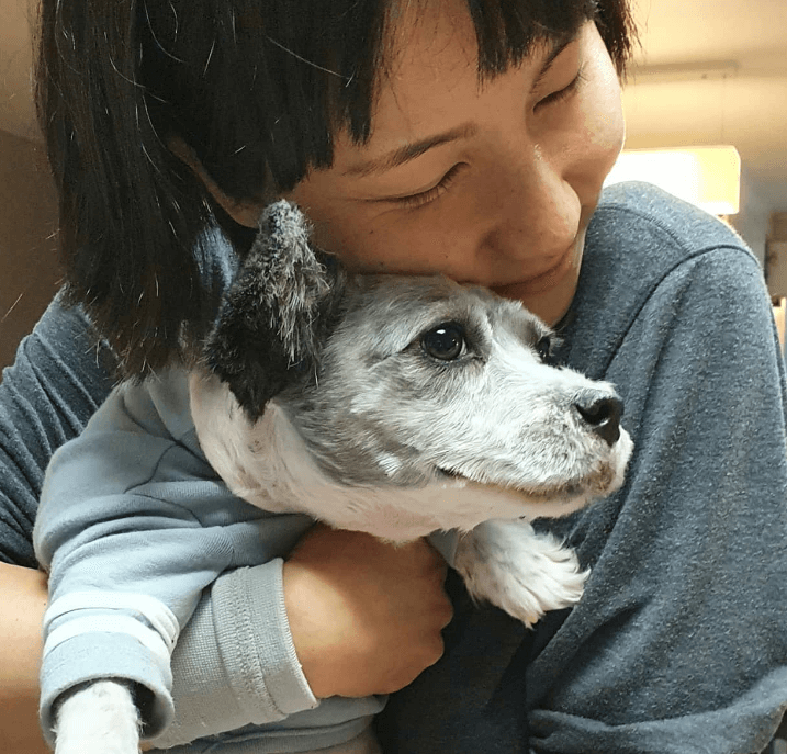 땅끄부부 인스타그램 사진