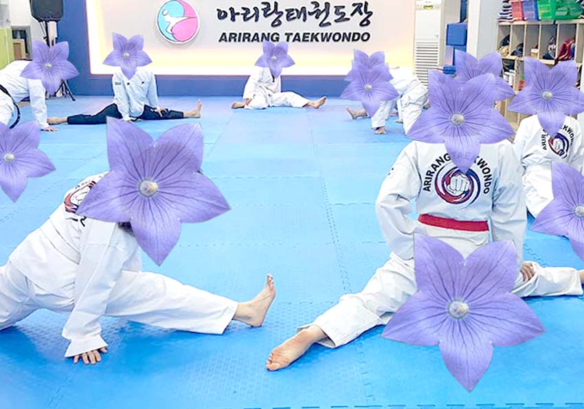 alt="도라지 꽃보다 태권도"