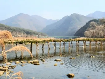 영월 섶다리마을의 강가 시간 여행 산책길 경험기_17