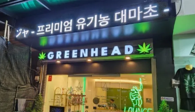 태국대마초매장