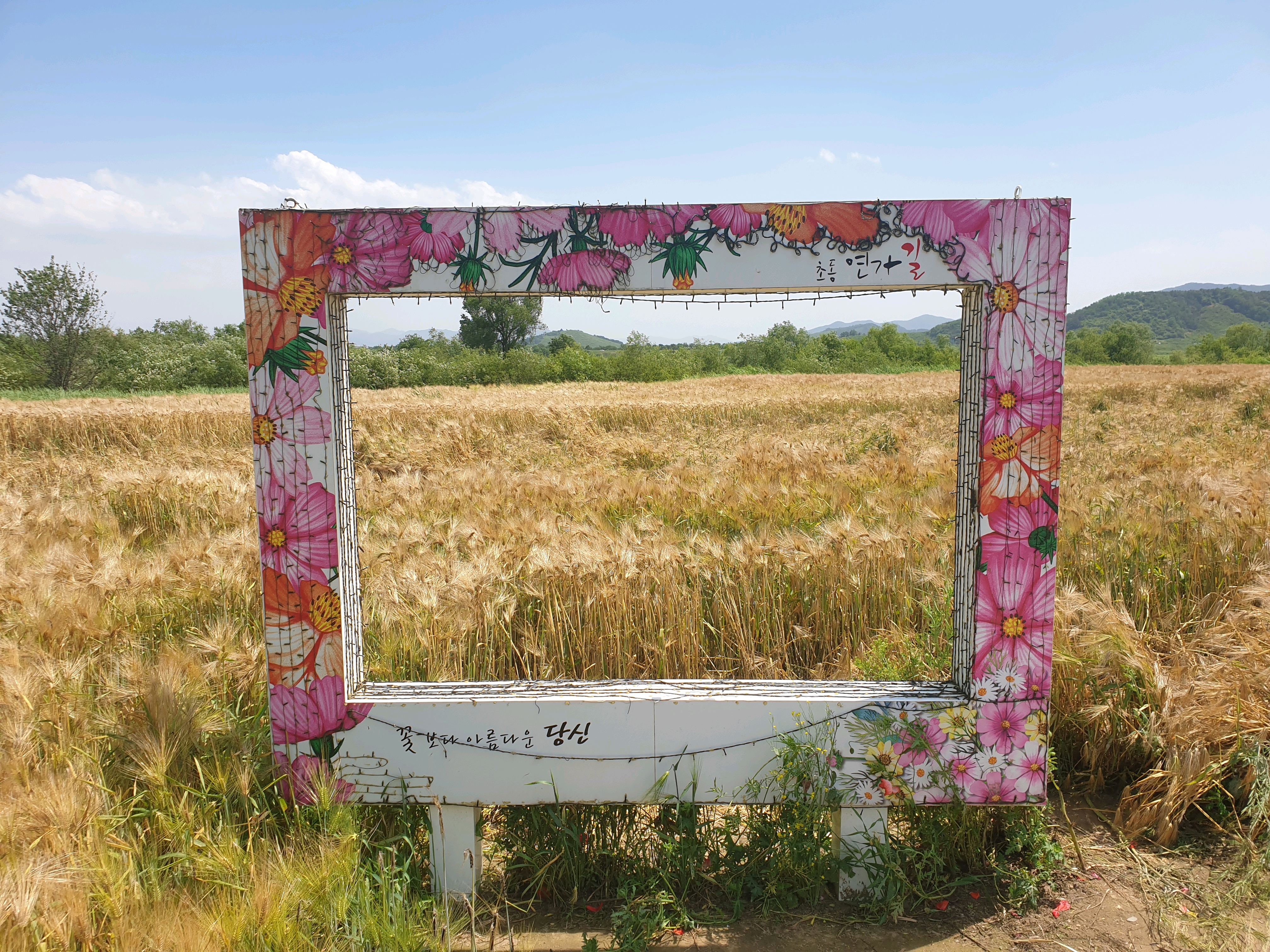 밀양 초동연가길