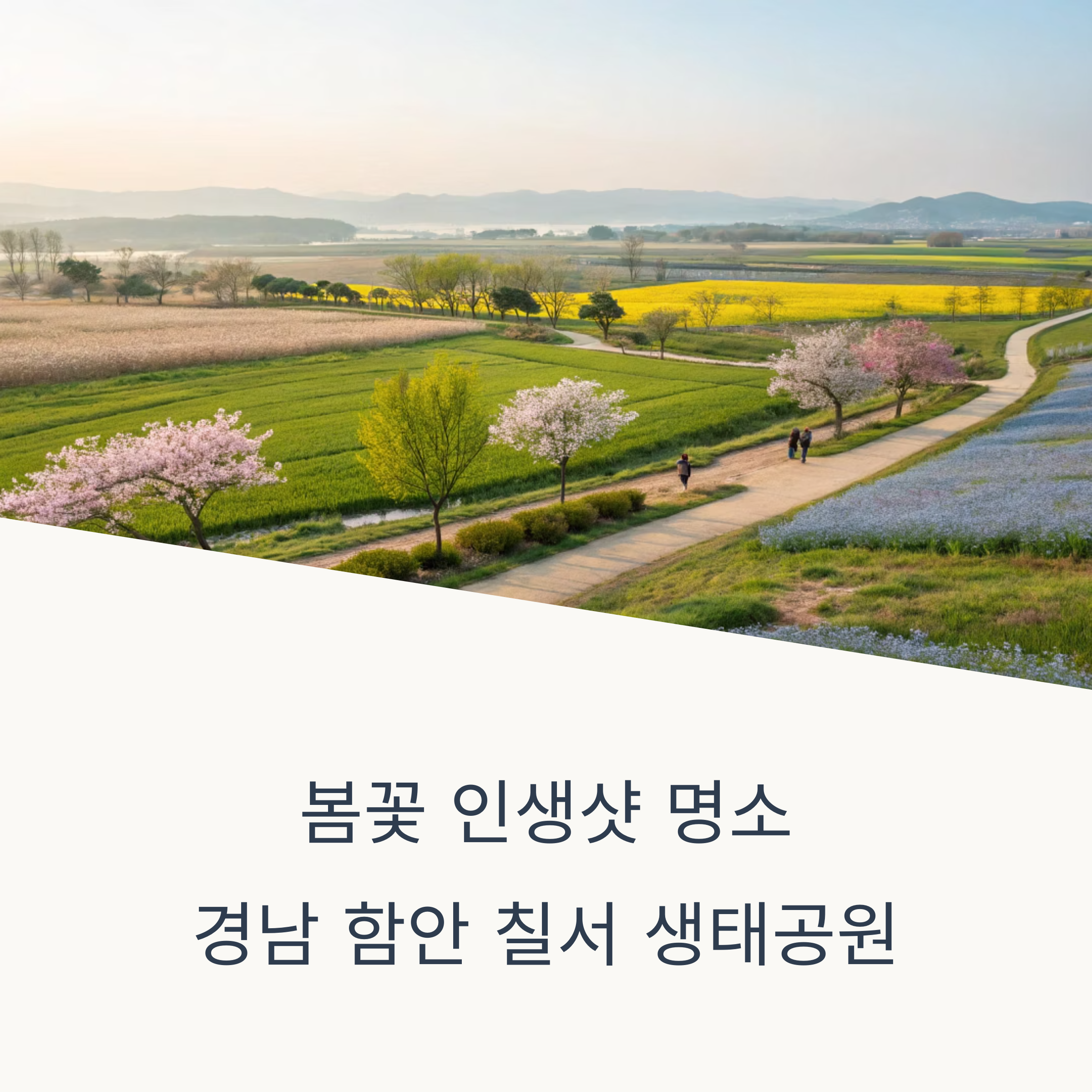 함안 칠서 생태공원 가이드