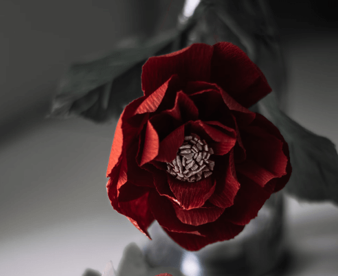 피나는 꿈 해몽