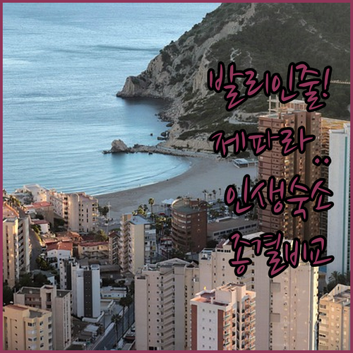 발리인 줄 알았는데 제파라라고 현지인..