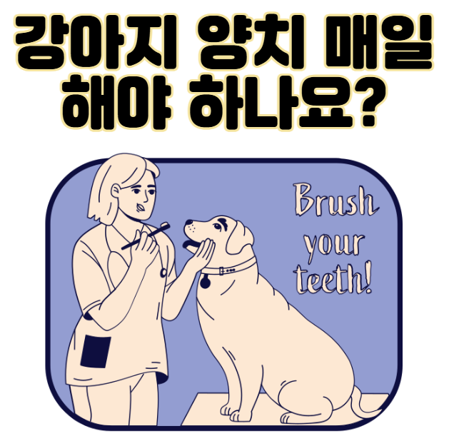 강아지 양치 매일 해야 하나요? 3가지 이유 및 대안
