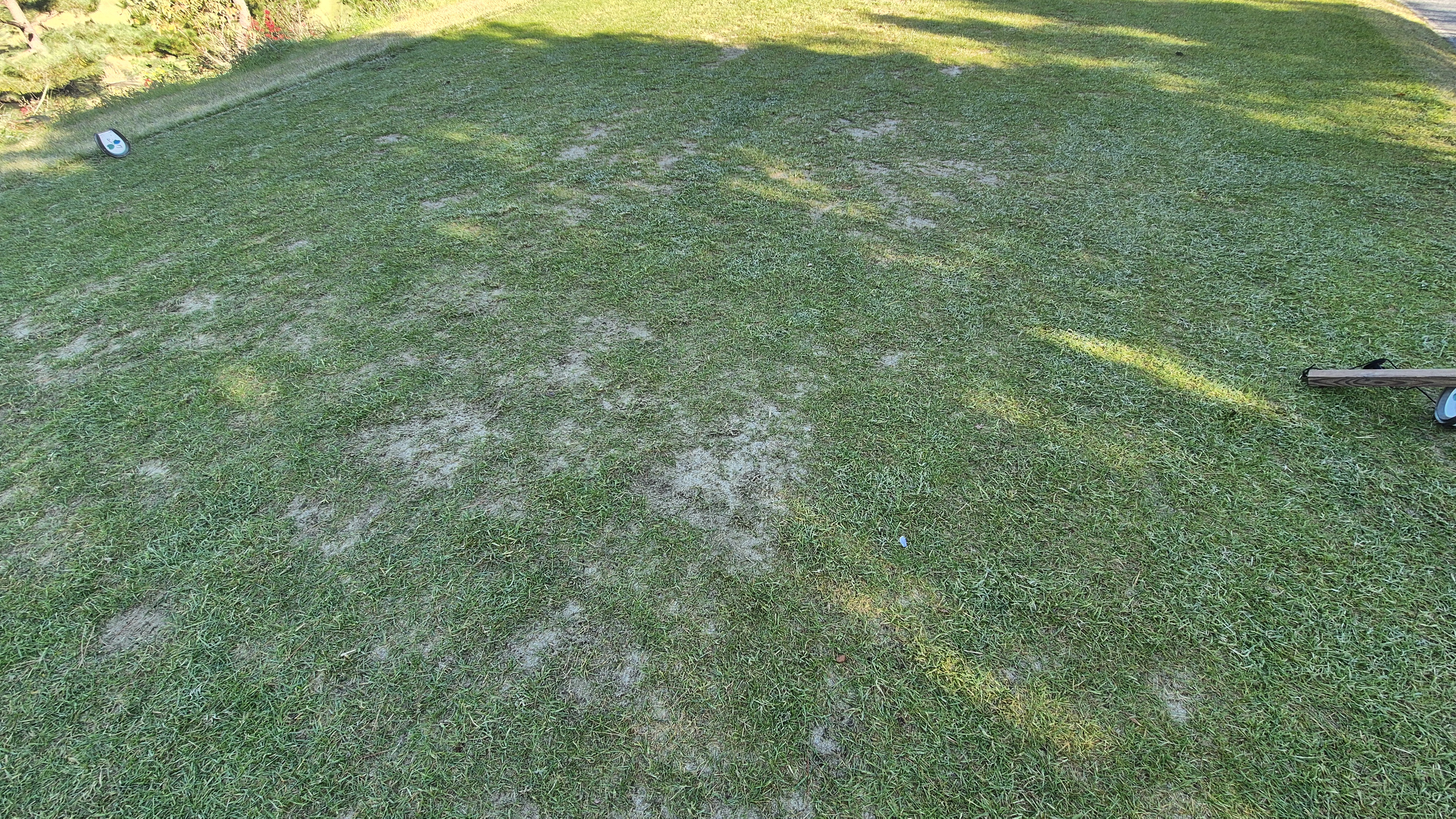 동촌gc 티잉구역 상태