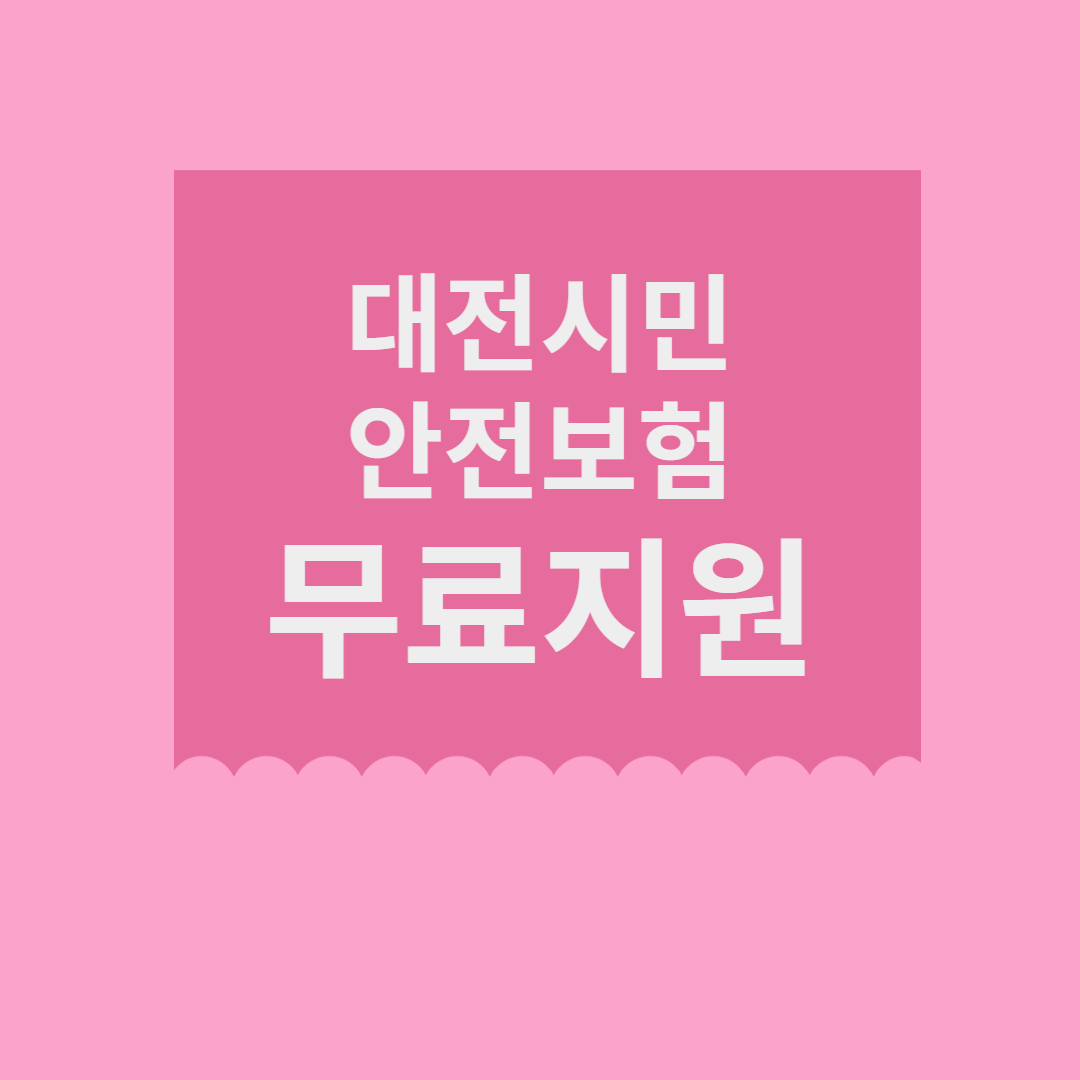 대전시민안전보험 지원