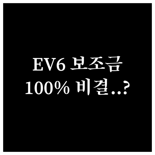 더뉴EV6 스탠다드 보조금 100% ..