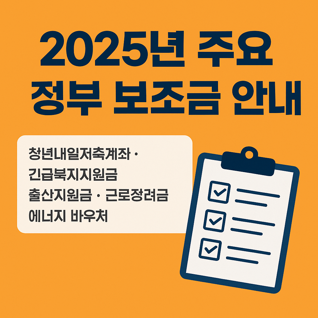 2025년-정부보조금