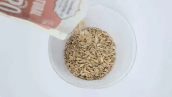 파로 곡물 효능 부작용 먹는 방법_14