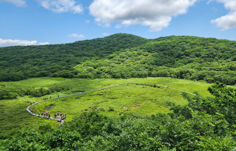인제 대암산 용늪
