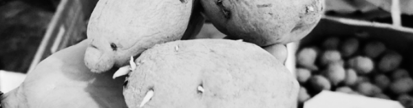 6월 ~ 7월 또는 10월 ~ 11월