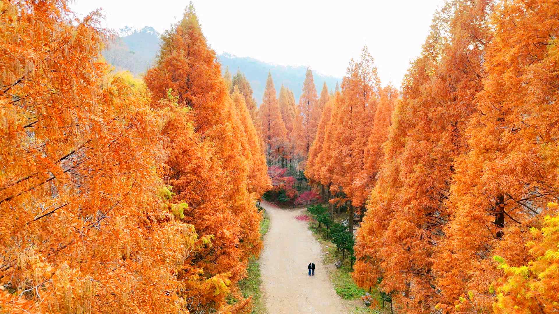 온빛자연휴양림