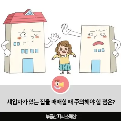 세입자가 있는 집을 매매할 때 주의해야 할 점은?