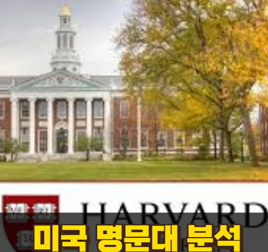 미국 명문대 분석