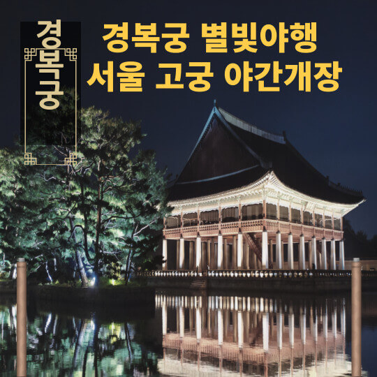 경복궁 별빛야행 서울 고궁 야간개장