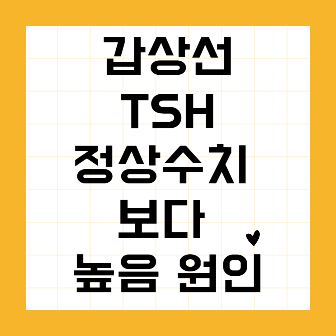 갑상선 TSH 정상수치 보다 높음 원인