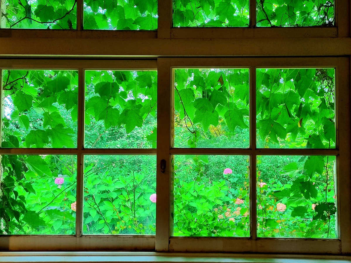 충남 당진 아미미술관: 현대미술, 수국, 야외 조형물, 인스타그램 감성 포토존