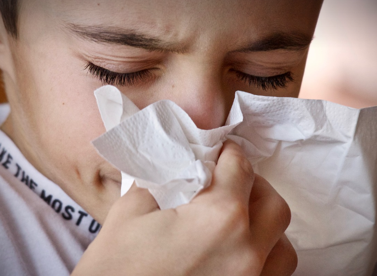 비염 관련 사진