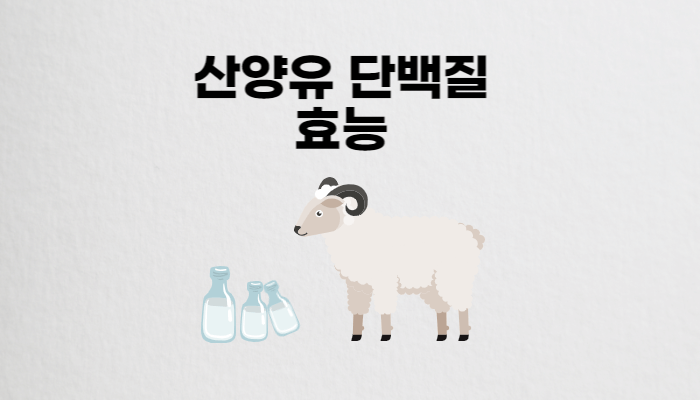 산양유단백질 효능 썸네일