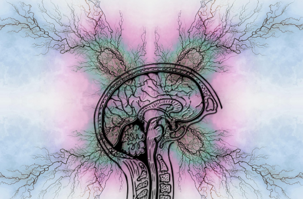 간질과 관련된 사진