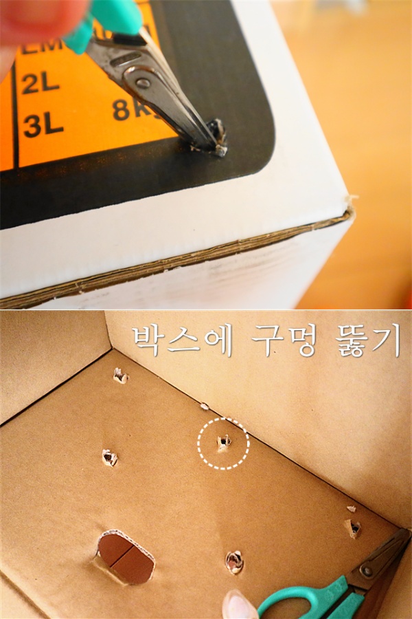 귤 오래 보관하는 방법, 귤 보관법, 귤 오래두고 먹는방법, 생활꿀팁, 팁줌 매일꿀정보