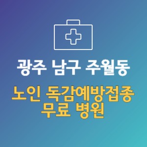 광주 남구 주월동 노인 독감예방접종 무료 병원 (인플루엔자 무료 접종 대상 날짜)