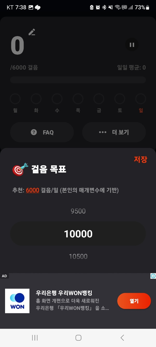목표걸음