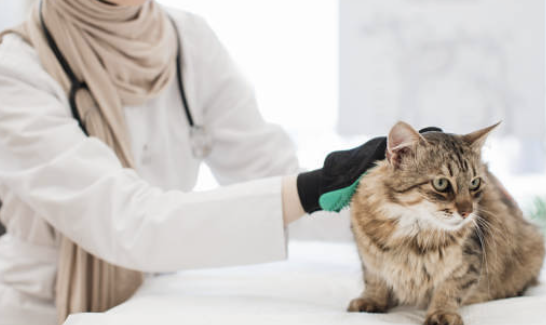 사마귀 제거방법 27