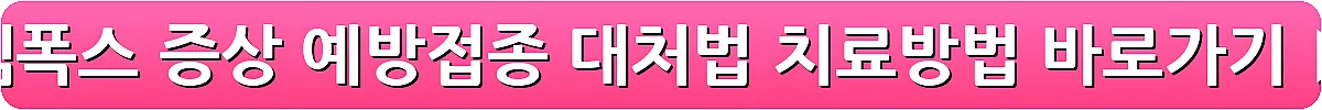엠폭스 증상 예방접종 대처법 치료방법_8