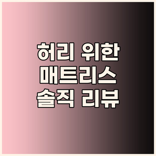 내 허리를 위한 선택 지누스 그린티 