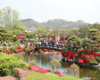 베어트리파크 철쭉축제 봄과 철쭉_21