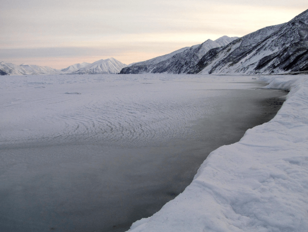 제로웨이스트 물류 혁신과 탄소 없는 공급망 구축