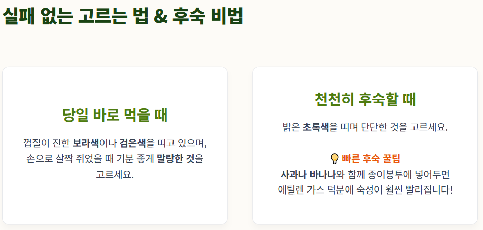 아보카도 먹는 방법