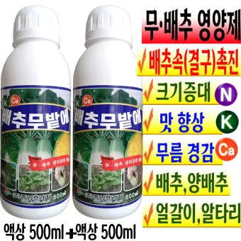 김장배추 웃거름비료 주는시기와 방법을 안내_16