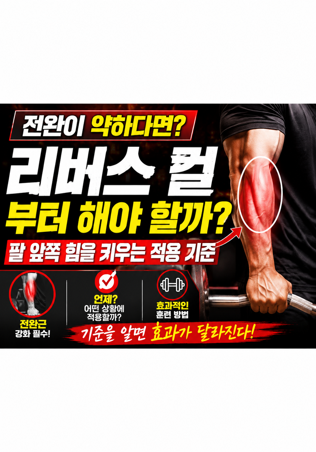 전완이 약하다면 리버스 컬부터 해야 할까