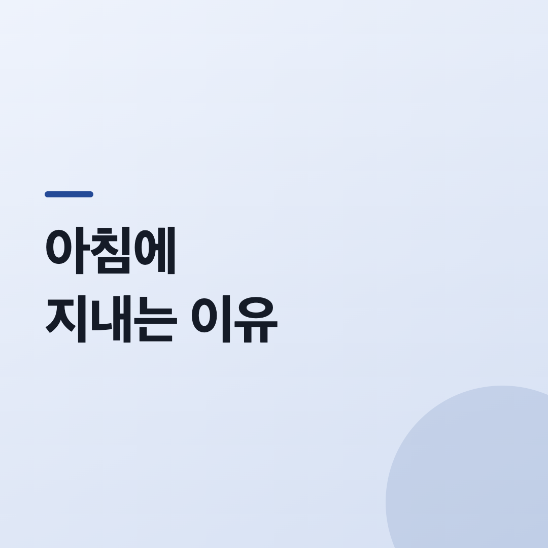 오전 6~11시 기준 카드
