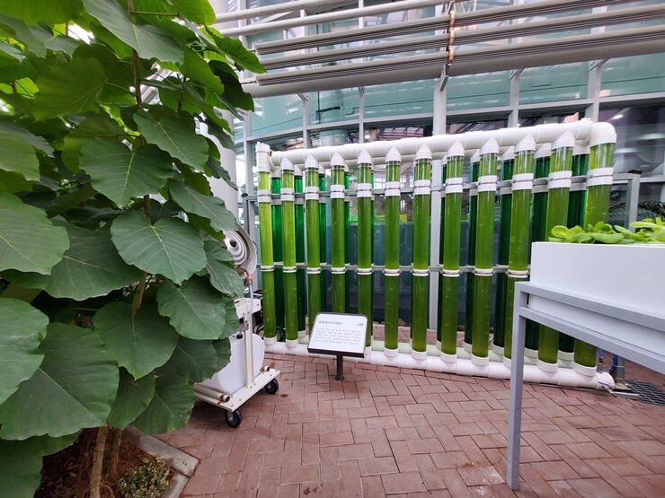 국립농업박물관