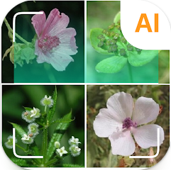식물이름 찾기 무료 어플, 핸드폰 어플에서 식물식별