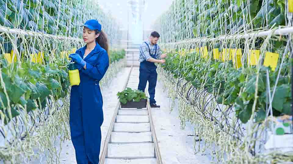 스마트팜과 인간의 공진화: 기술과 삶의 경계에서