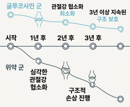글루코사민의 효능