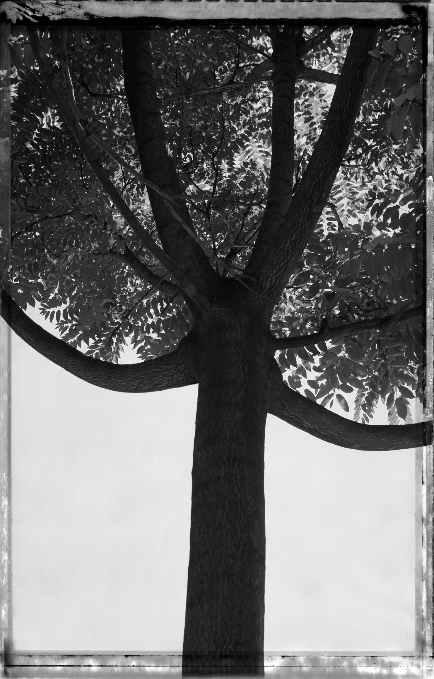 김중만 작가, 상처난 거리