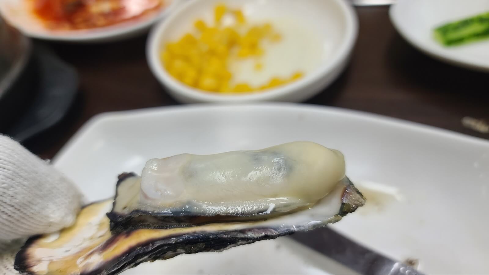 굴5