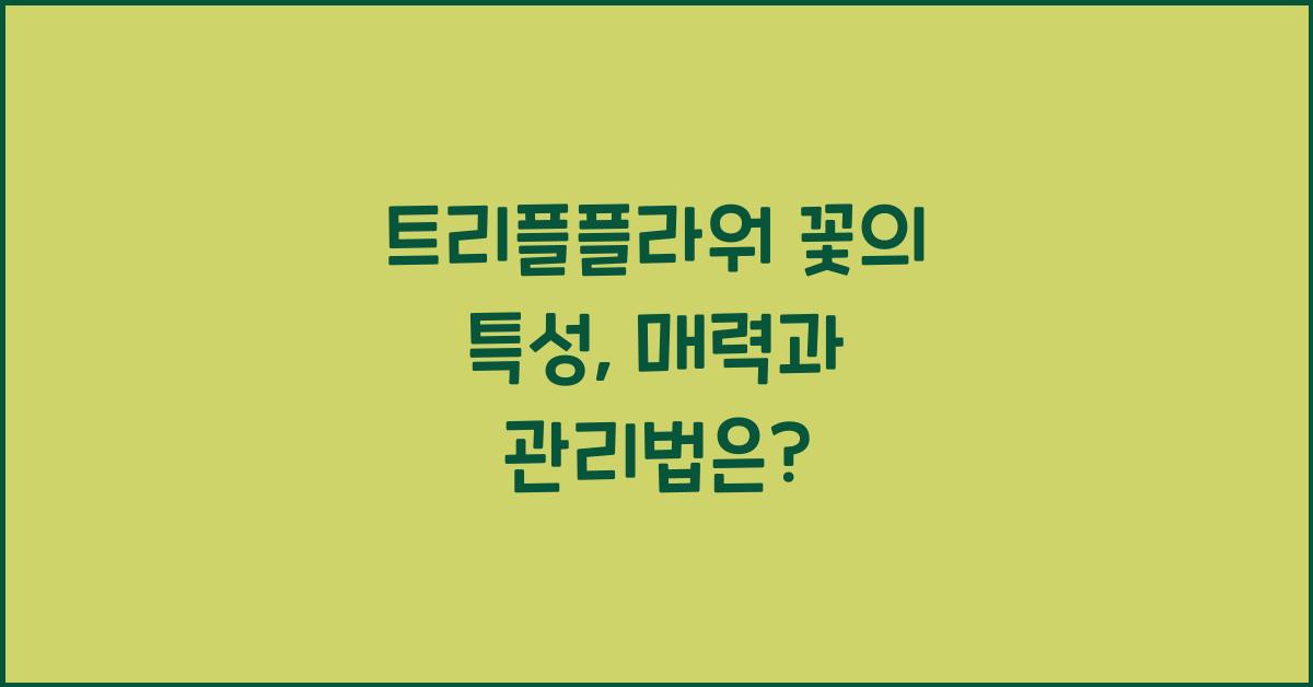 트리플플라워 꽃의 특성
