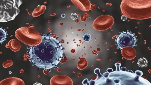 혈액암 초기증상 및 종류와 혈액암에 좋은 음식은 어떤것들이 있는지 알아볼까요~ 혈액암은 단순한 한 가지 질병이 아닙니다. 다발성골수종, 급성백혈병, 악성림프종 등 다양한 유형이 존재하며, 각각의 특징과 치료 방법을 이해하는 것이 중요합니다. 이 글에서는 혈액암의 종류, 초기증상, 치료법, 그리고 영양 관리에 대해 알아보겠습니다.