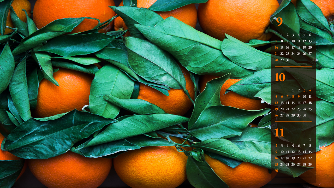 12 오렌지와 녹색 잎 B - 2025년10월 노트북배경화면