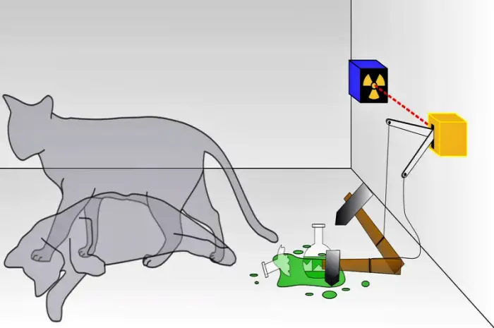 슈뢰딩거의 고양이 사고실험의 도식