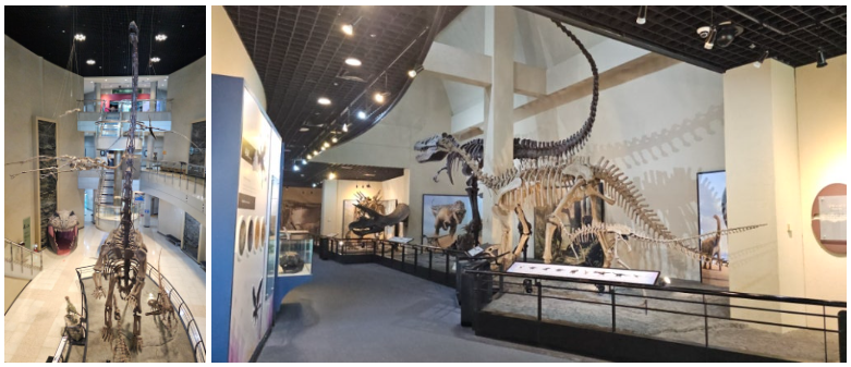 공룡박물관(+공룡공원/상족몽돌해변)