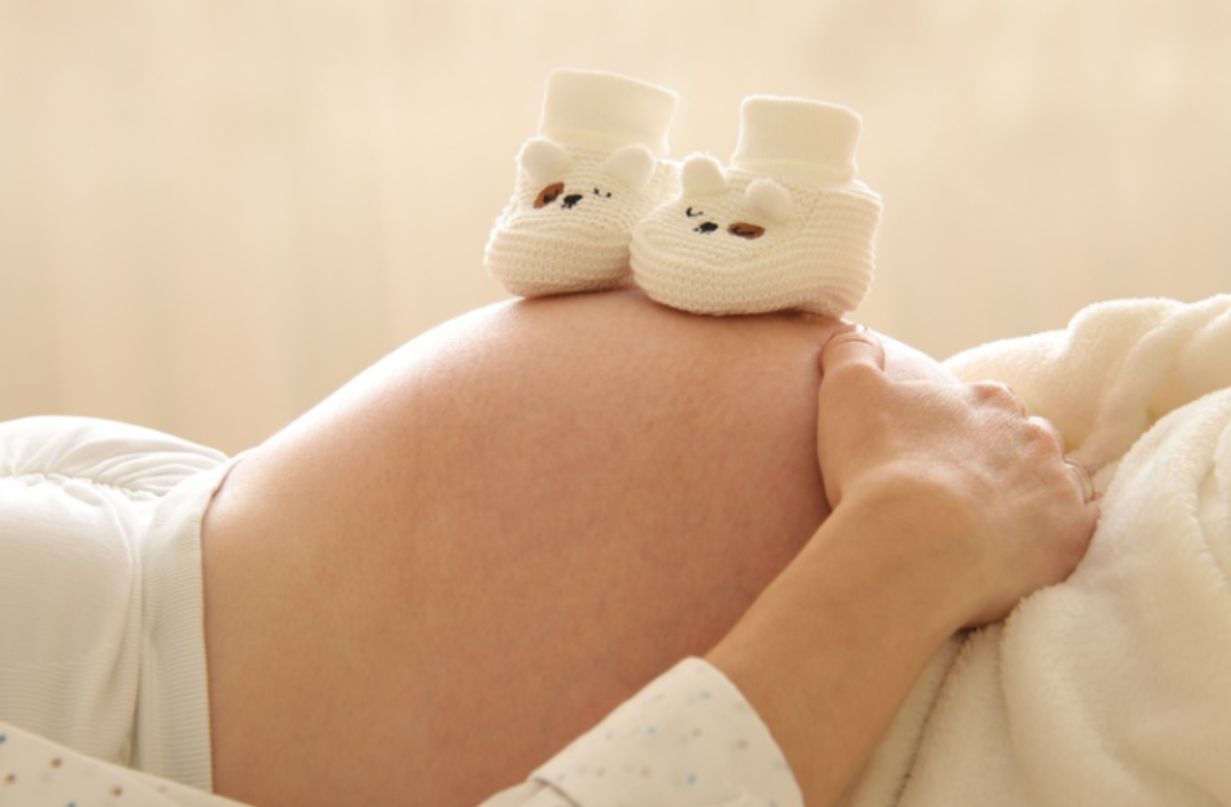 지원금 세부 내역